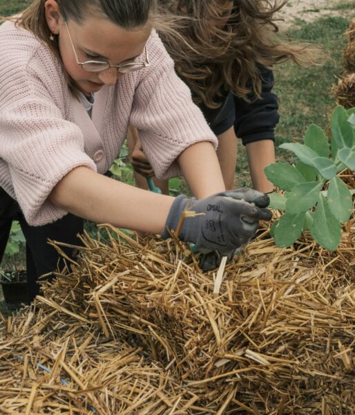 Festival Microtopies — Édition 2025 - Bois-Grenier : Microtopie La chenille du Bois-Grenier de Camille Dumas, Marion de Lingua de St Blanquat, Frederik Mads Svendsen © Julien Lelièvre